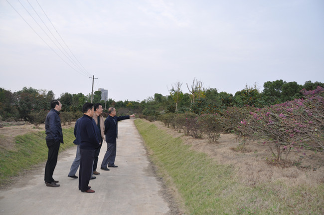 壹号娱乐 - NG大舞台,有梦你就来