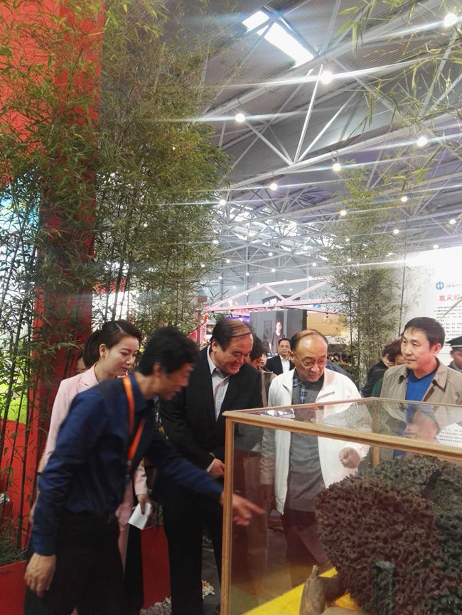 壹号娱乐 - NG大舞台,有梦你就来