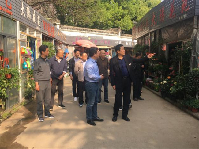 壹号娱乐 - NG大舞台,有梦你就来
