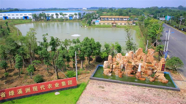 壹号娱乐 - NG大舞台,有梦你就来