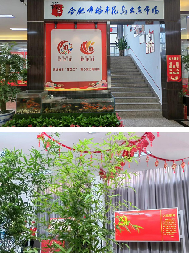 壹号娱乐 - NG大舞台,有梦你就来